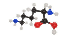 All Bio Lysine Amino Acid