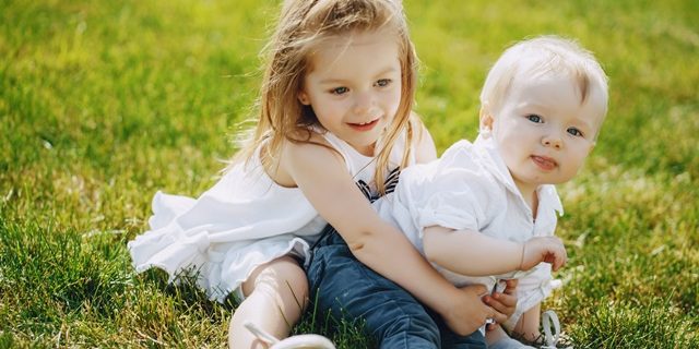 Chemical Free Grass Lawn