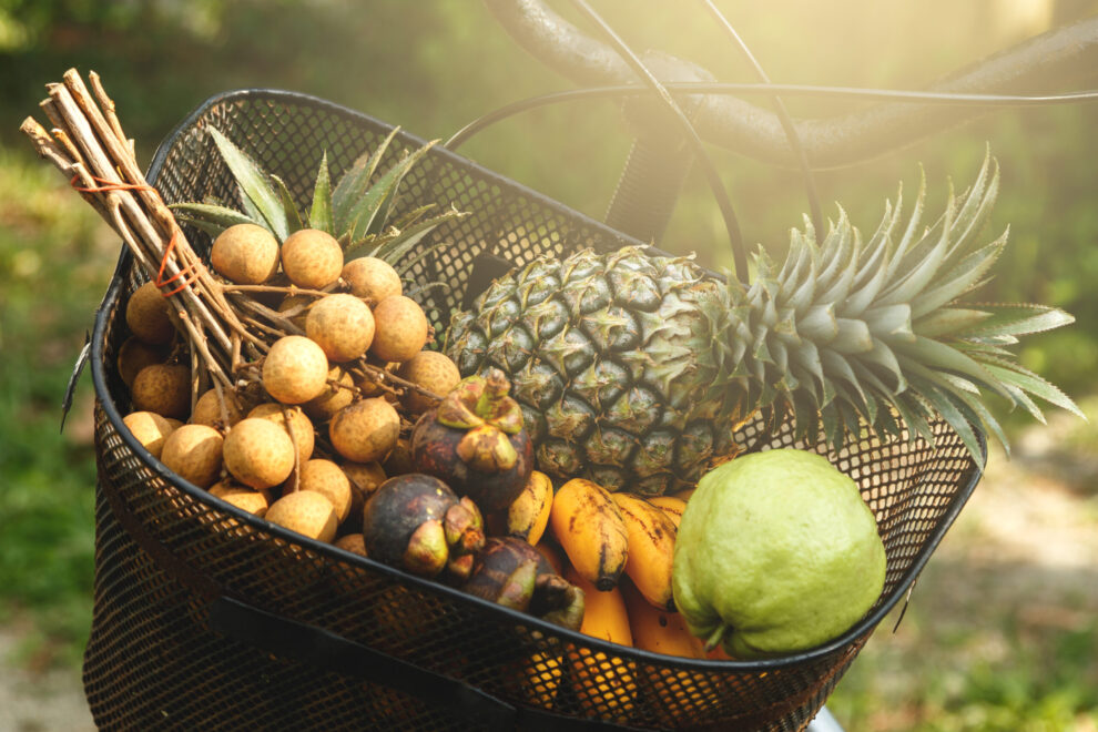 Basket on the bicycle full of different exotic fruits