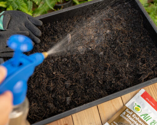All Bio_Soil 1500x1500 copy-14